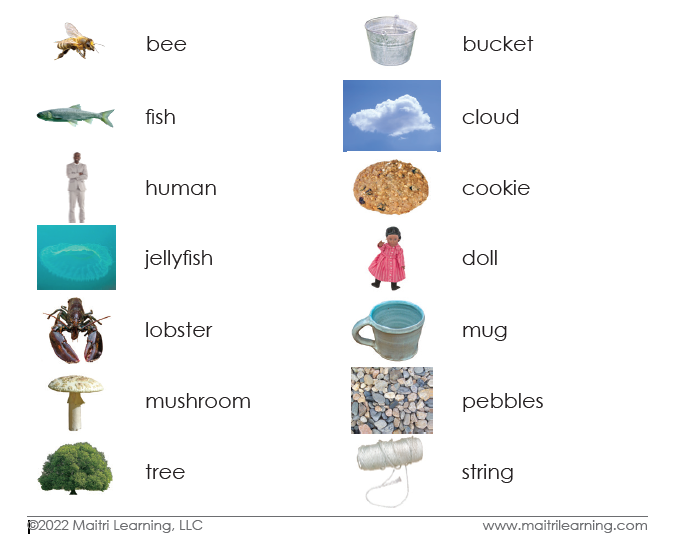 Spanish Living/Non-Living Sorting - Maitri Learning