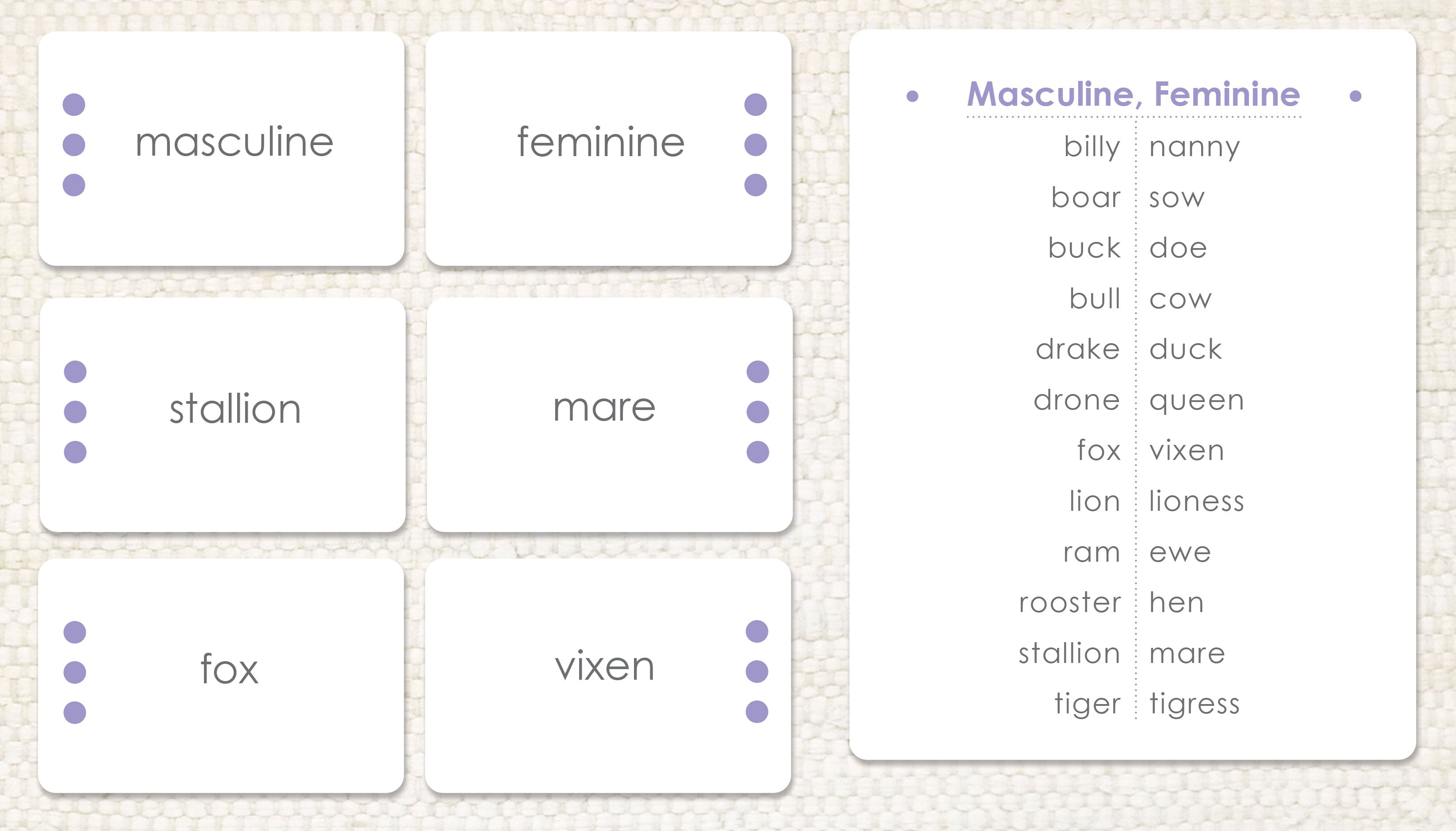 Imperfect Masculine & Feminine: Word Study - Maitri Learning
