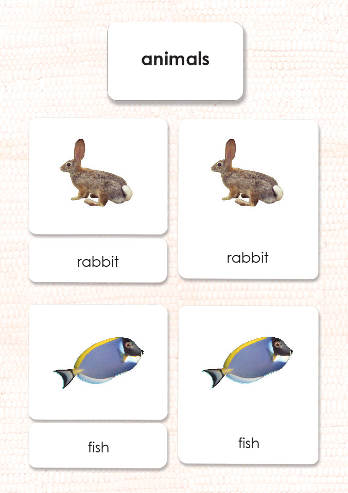 Animal Kingdom 3-Part Reading - Maitri Learning