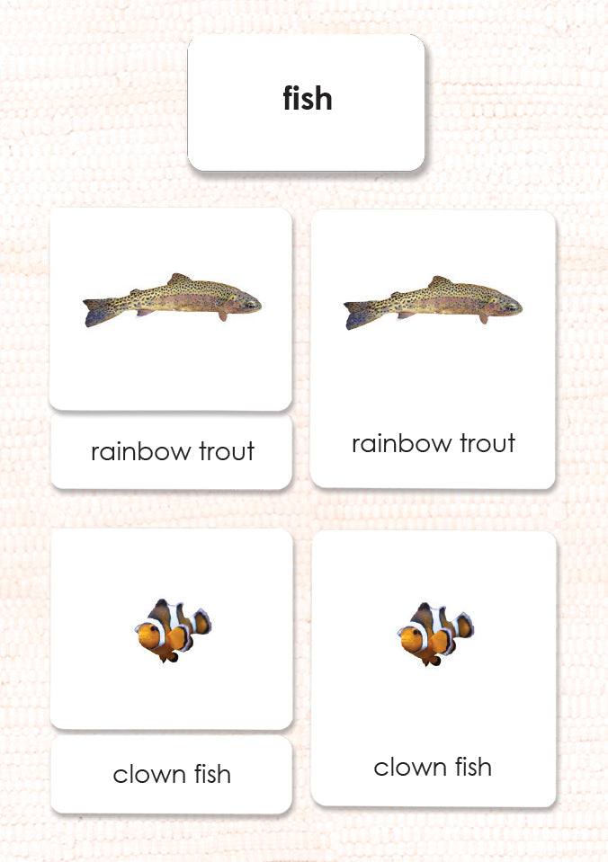 Imperfect Fish 3-Part Reading - Maitri Learning