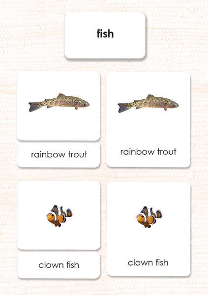 Fish Montessori Zoology Cards – Maitri Learning