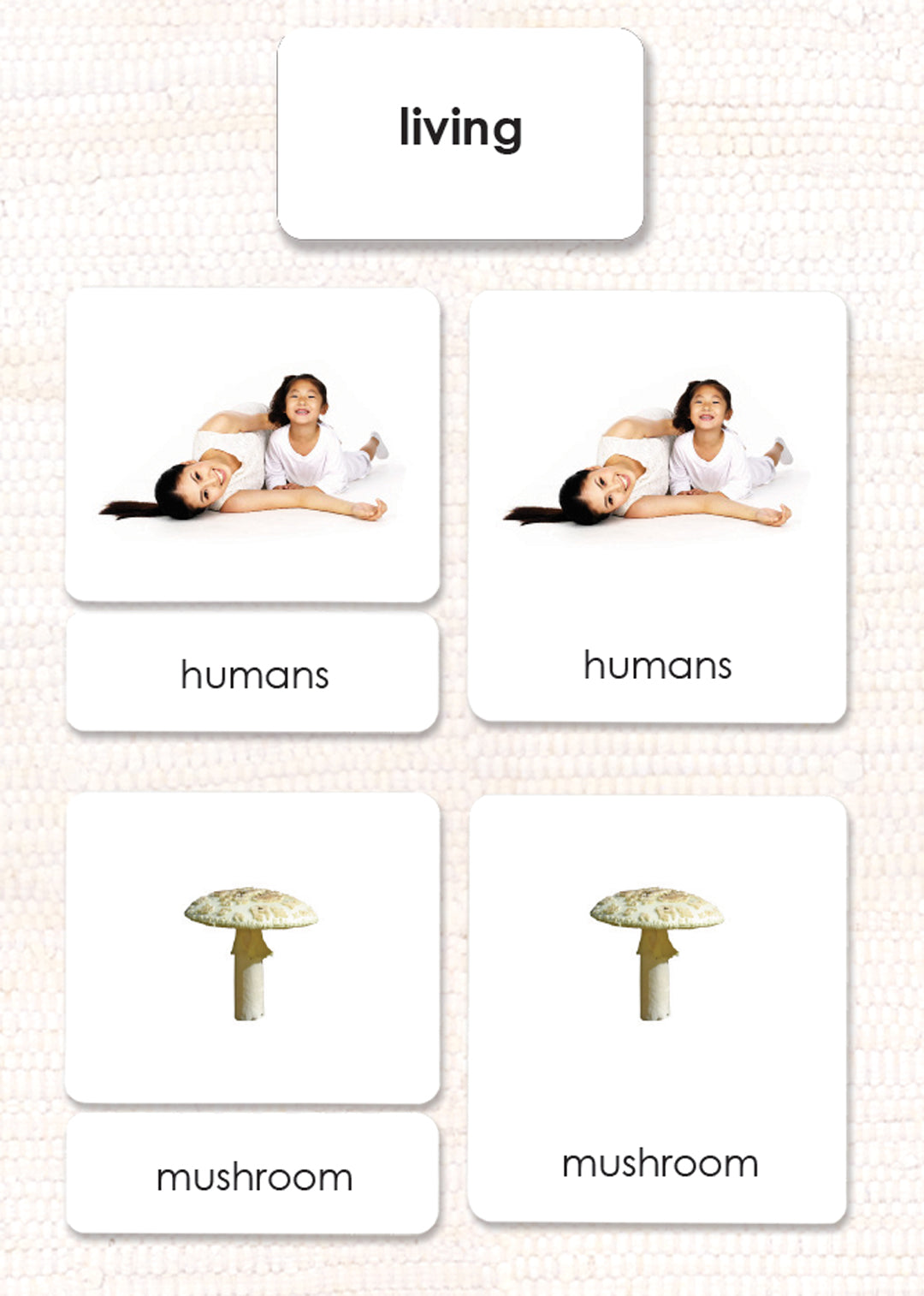 Living 3-Part Reading - Maitri Learning