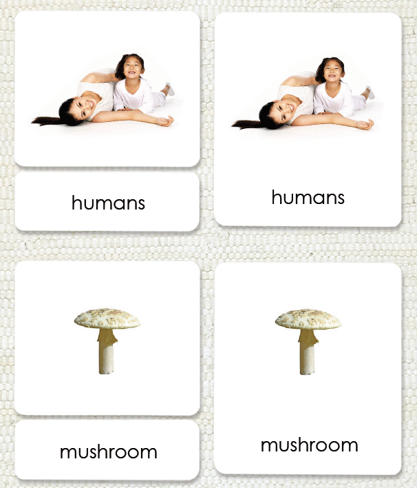 Living <p>3-Part Reading - Maitri Learning
