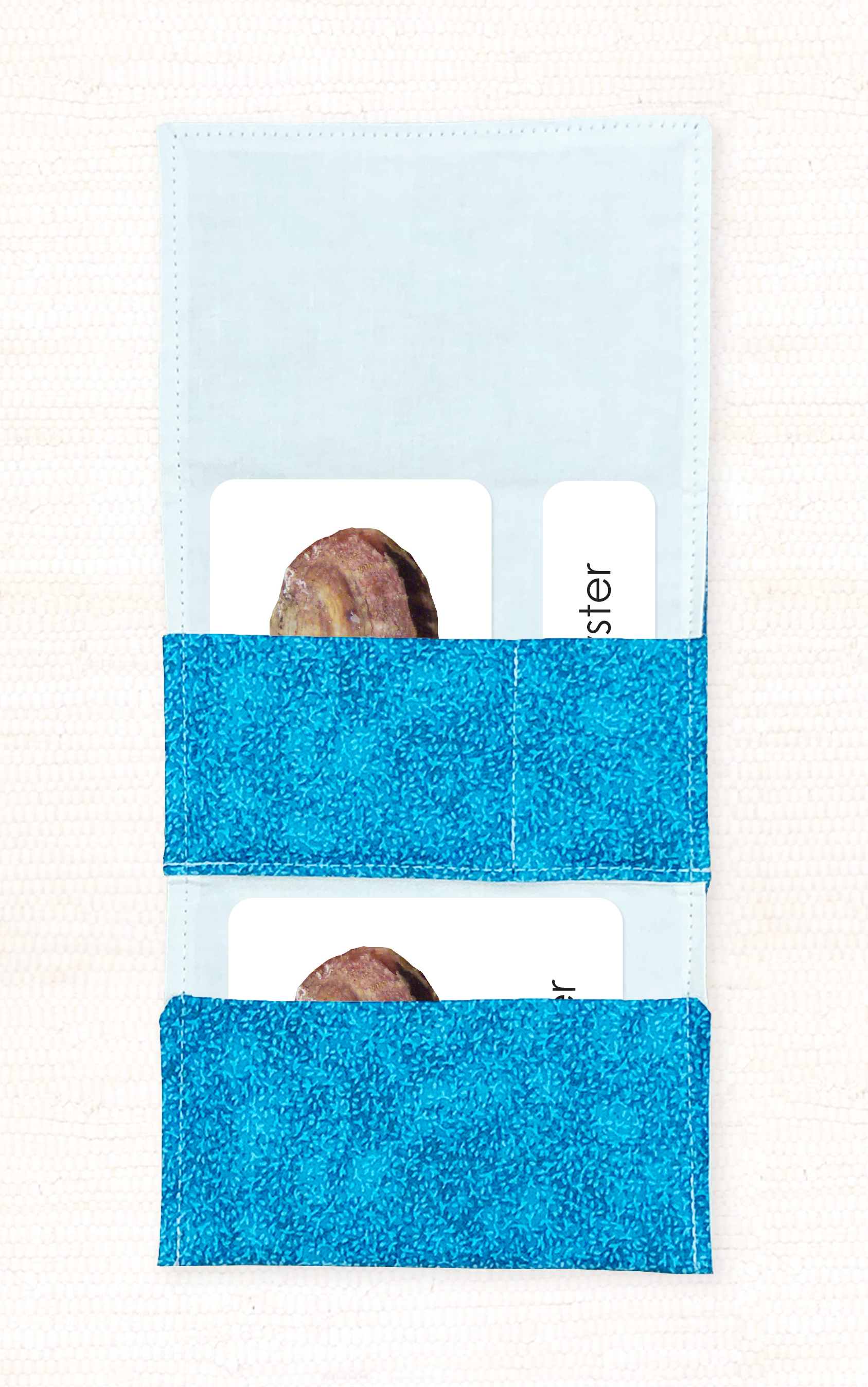 Mollusks 3-Part Reading - Maitri Learning