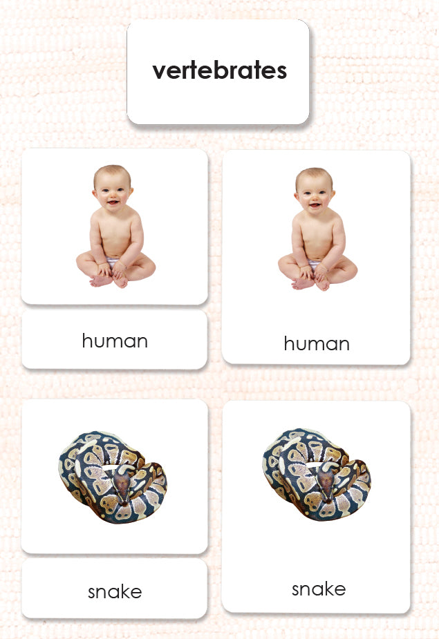 Vertebrates 3-Part Reading - Maitri Learning