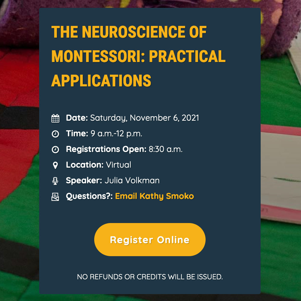 The Neuroscience of Montessori: Practical Applications Workshop