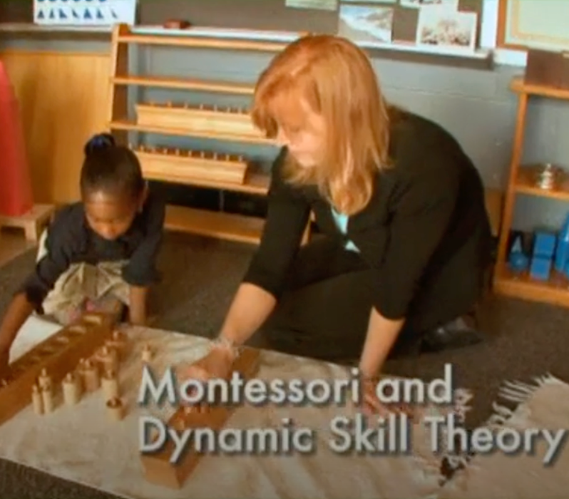 Neuroscience & the Classroom: Dynamic Skill Theory