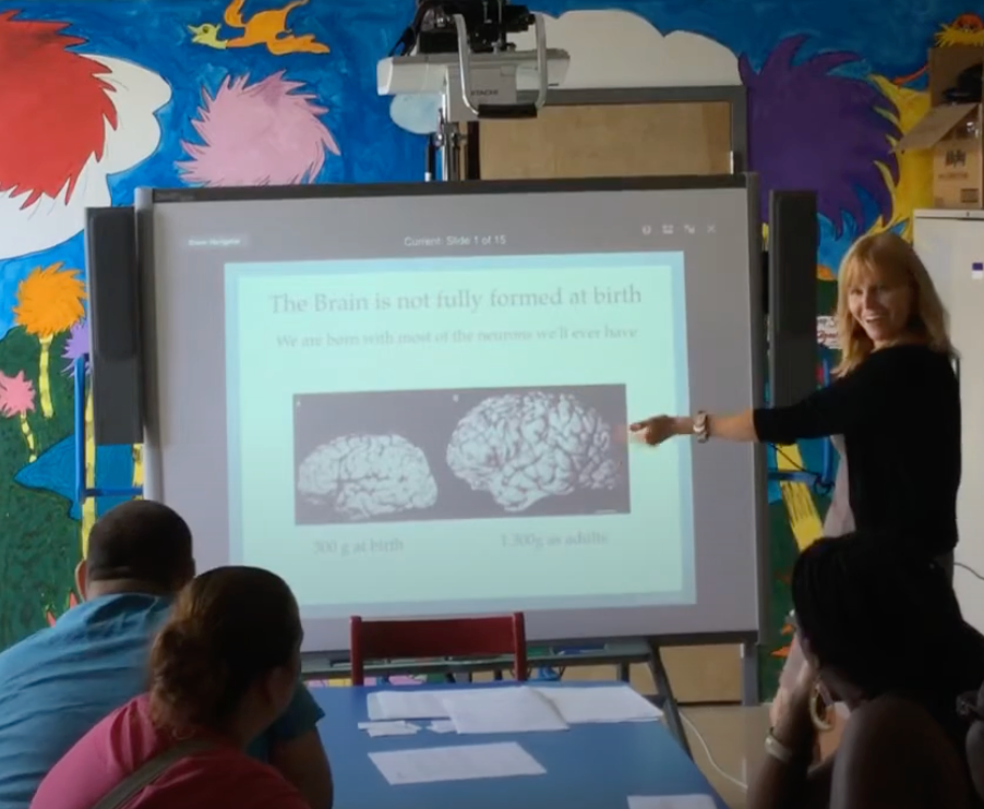 Preschool Parent Orientation: Brain Development and Why you care