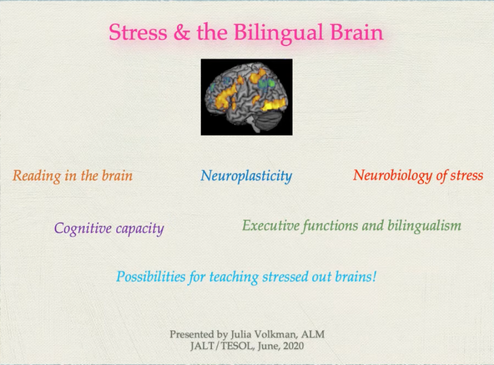 Stress and the Bilingual Brain