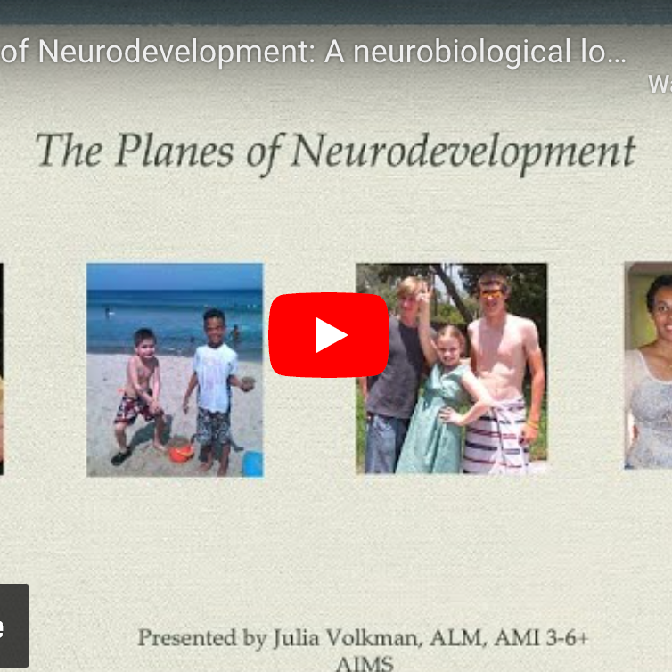 The Planes of Neurodevelopment