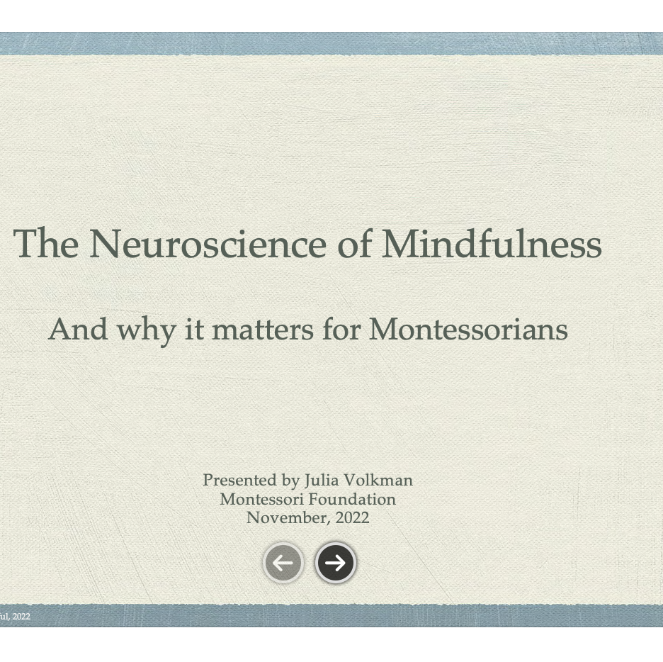 Neuroscience of Mindfulness