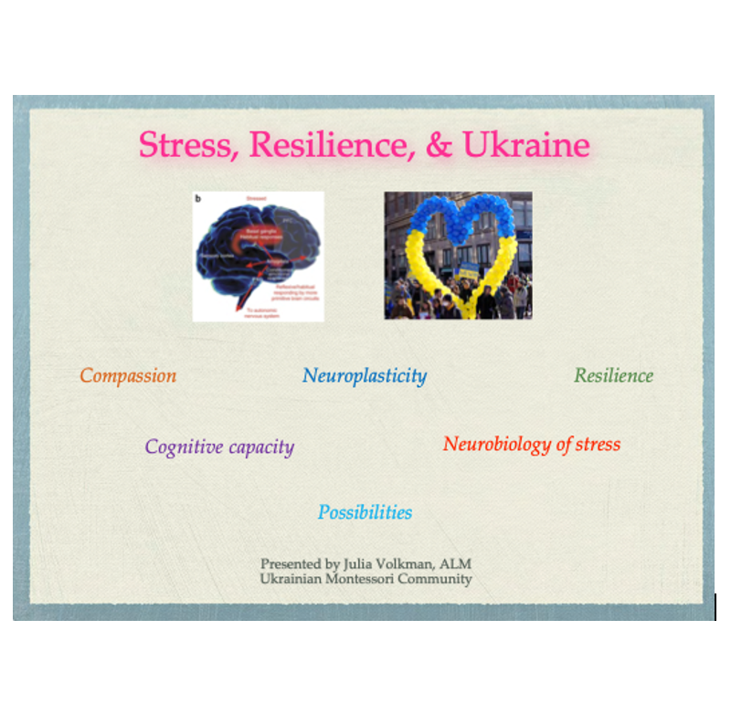 Stress, Resilience, & Ukraine