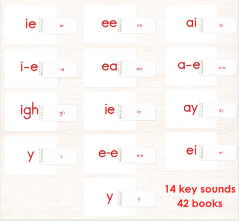 Which phonograms should be in the phonogram folders?