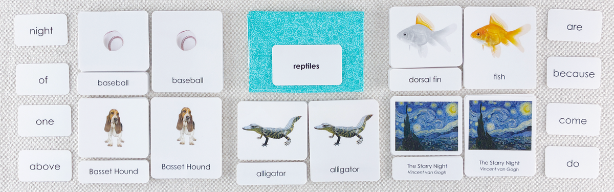 montessori reading fluency language card materials