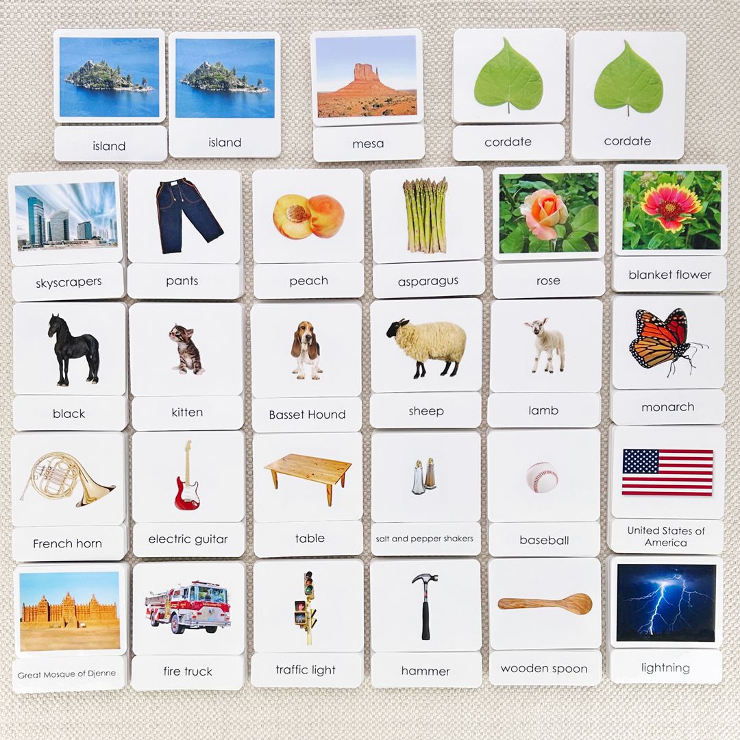 Common Nouns 3-Part Card Bundles