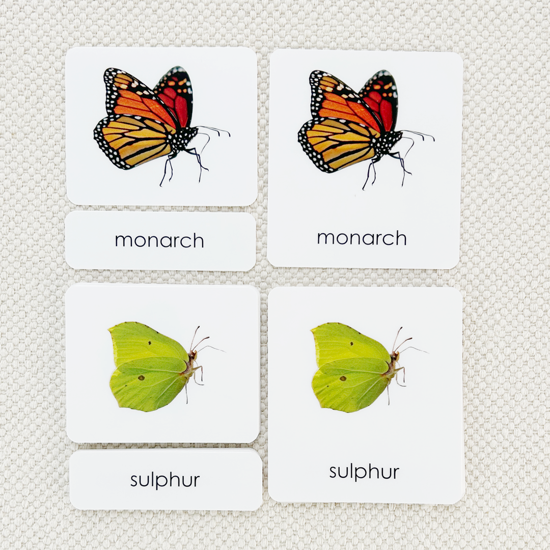 Butterflies 3-Part Reading