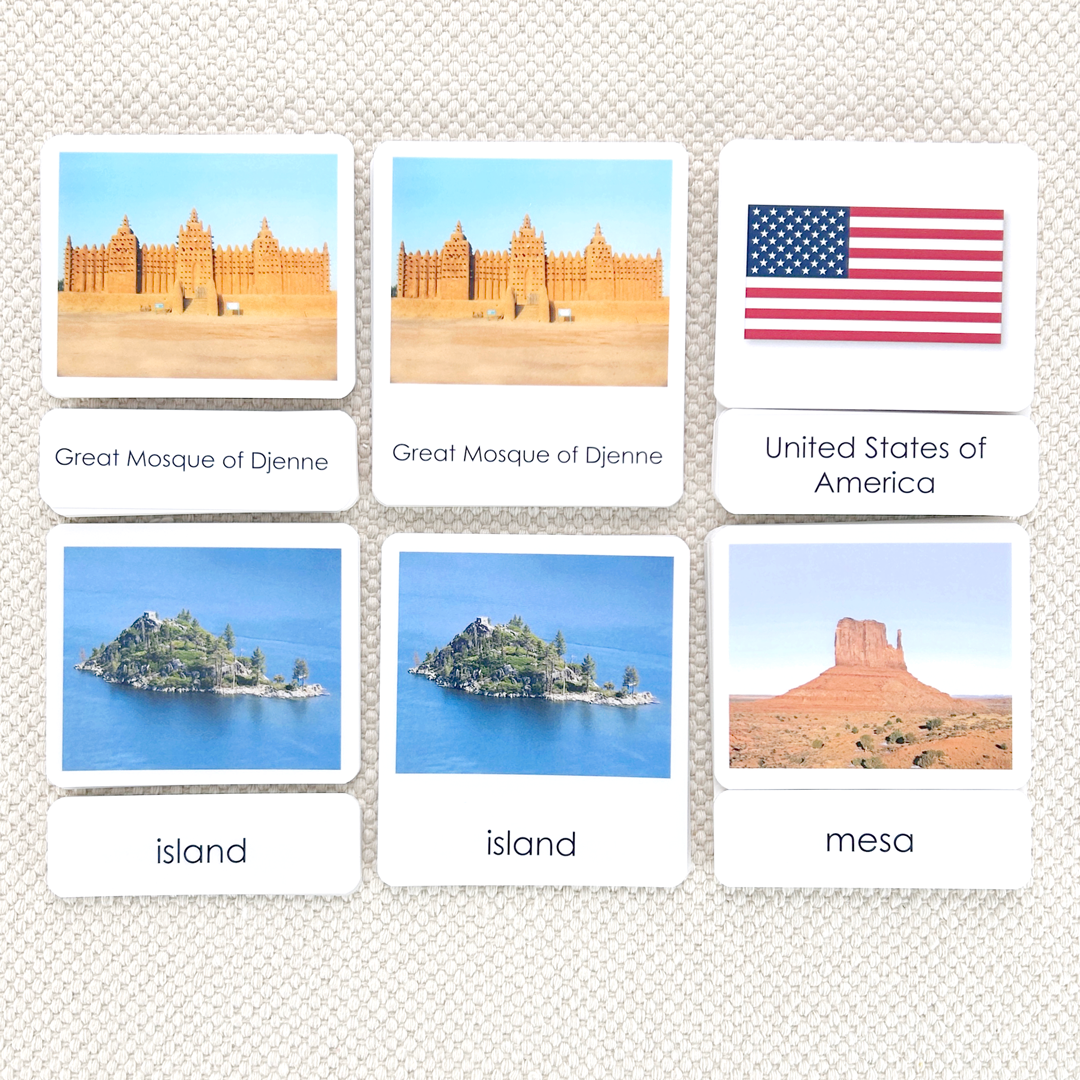Common Nouns 3-Part Card Bundles