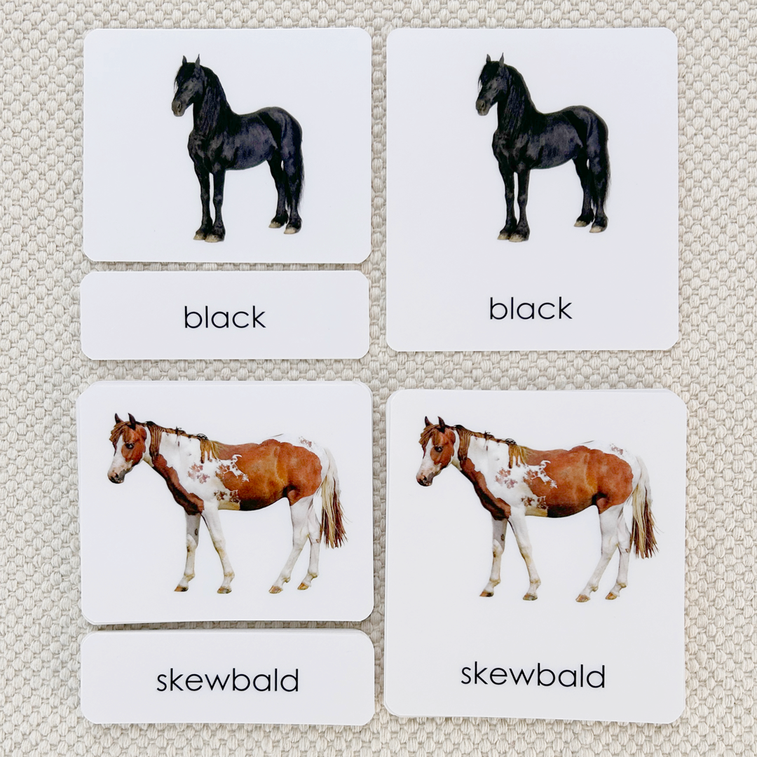 Horses (Coat Colors) 3-Part Reading
