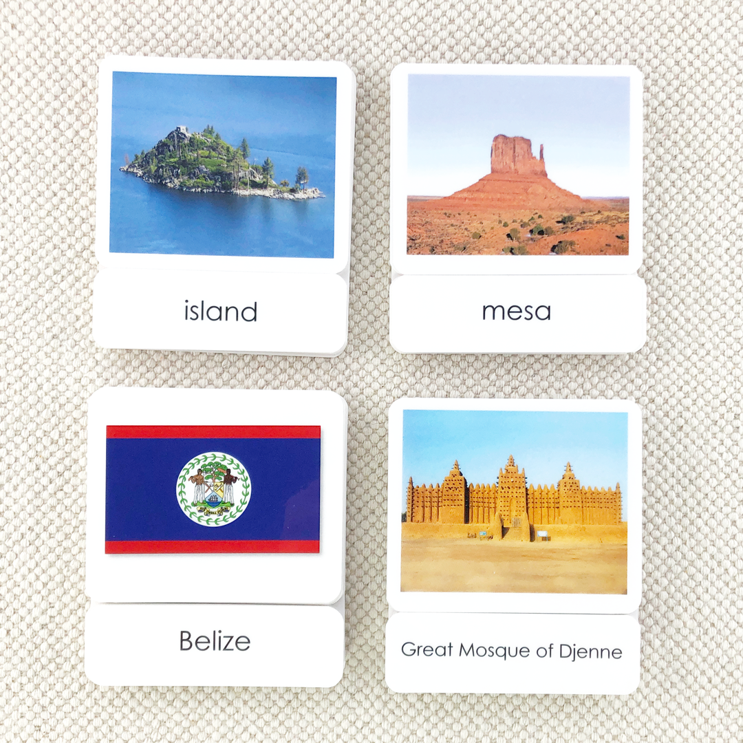 Common Nouns 3-Part Card Bundles