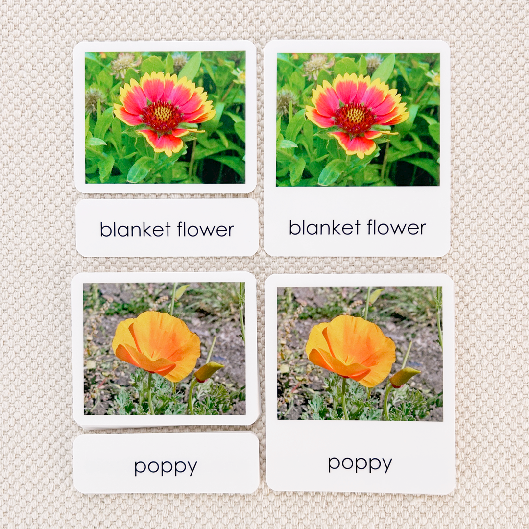 Wildflowers 3-Part Reading
