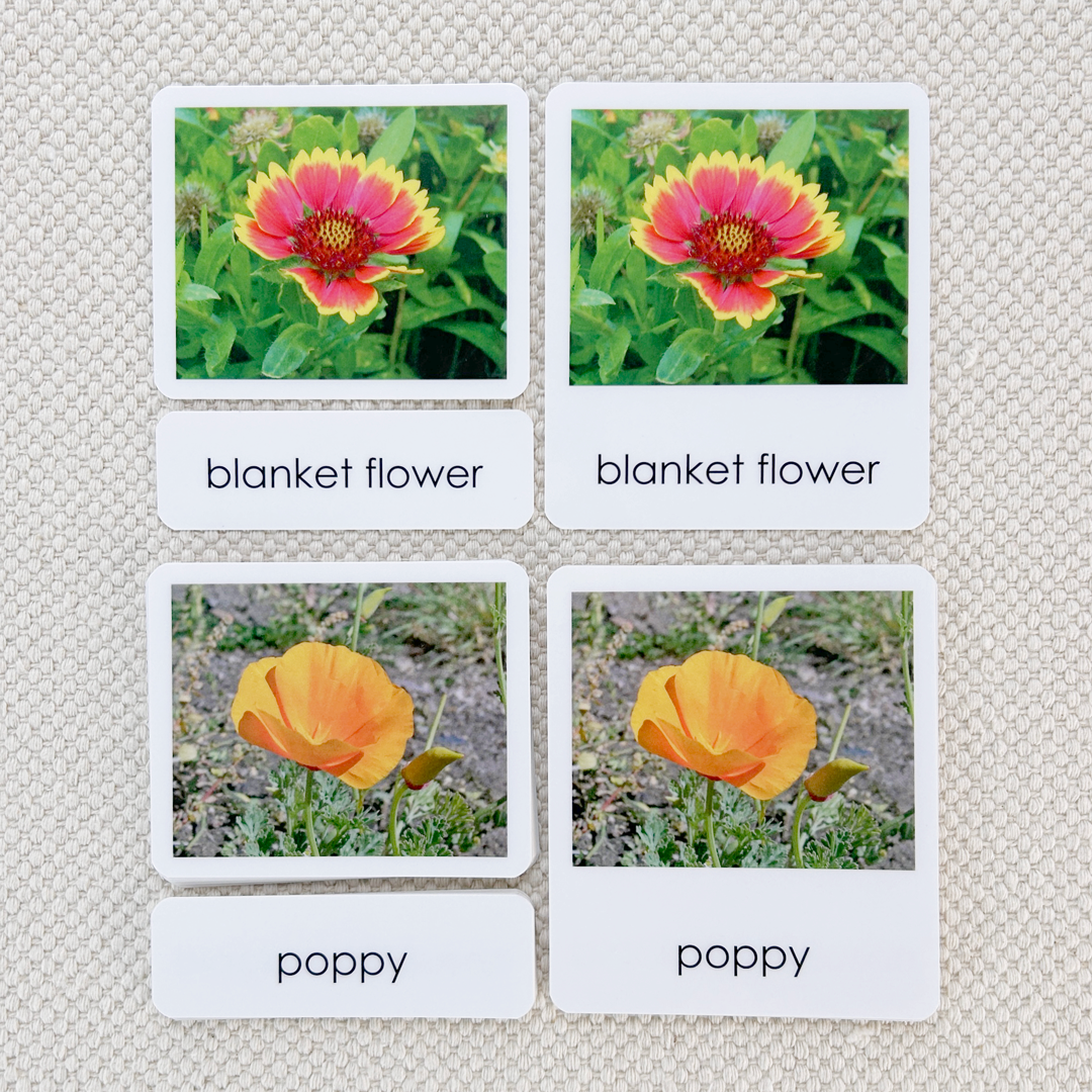 Wildflowers 3-Part Reading