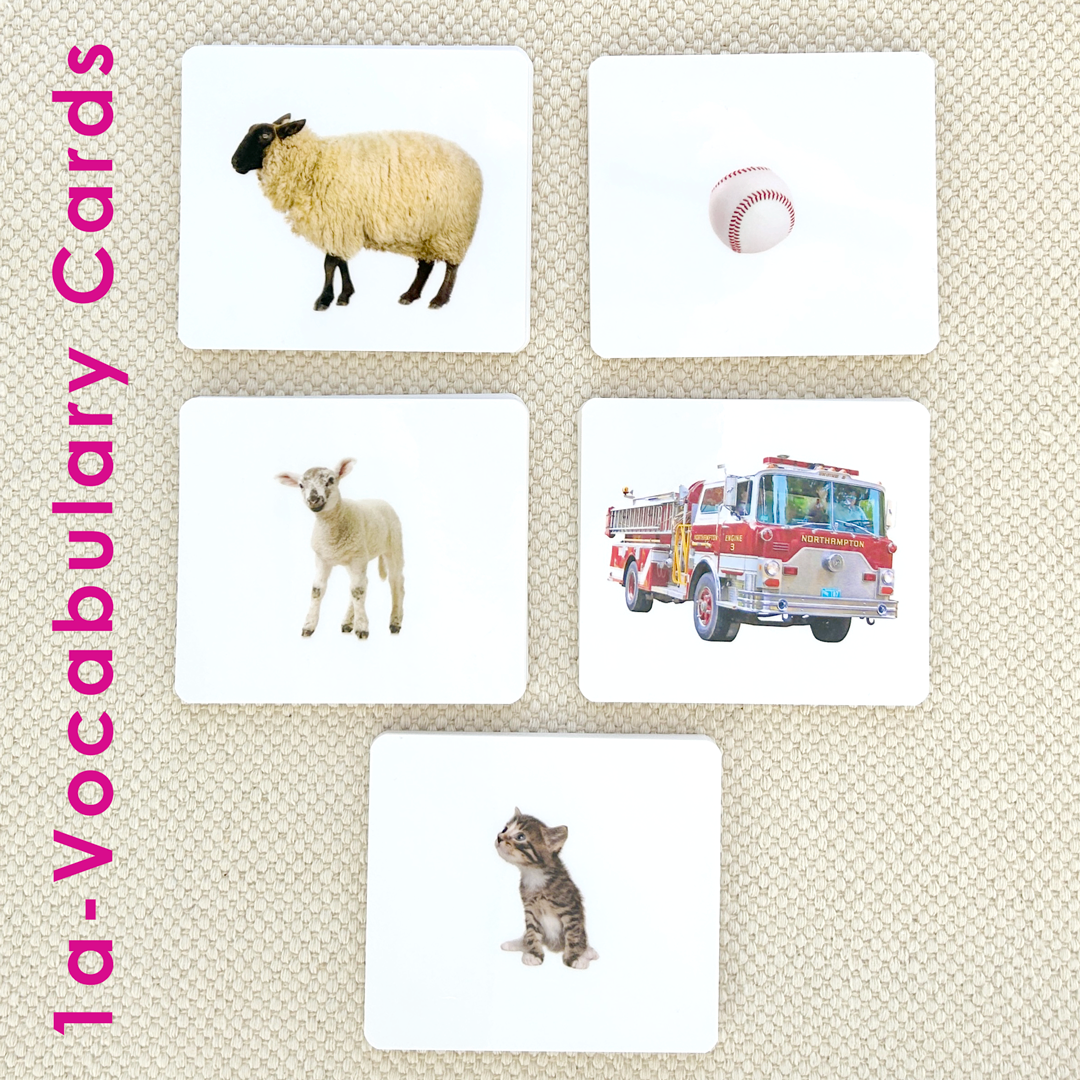 Preschool Literacy Bundles