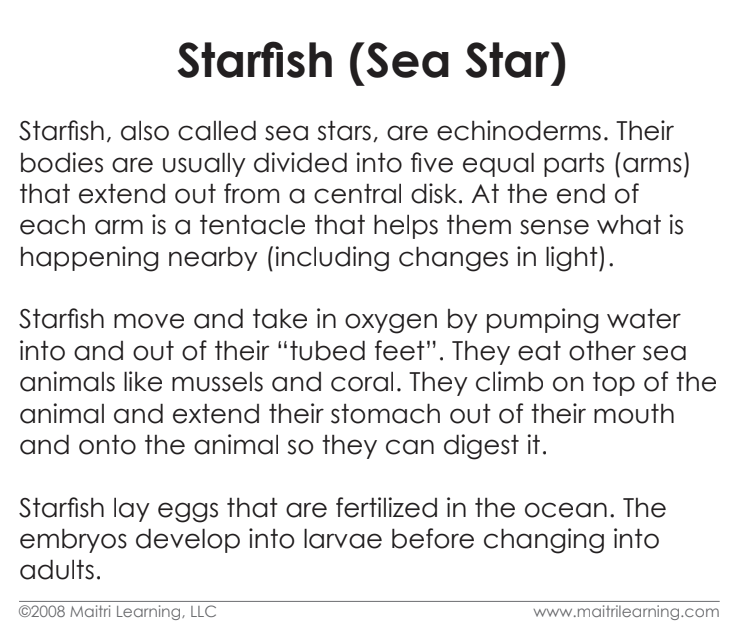 Parts of the Sea Star (Starfish) 3-Part Reading