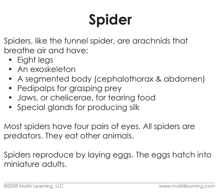 Parts of the Spider 3-Part Reading