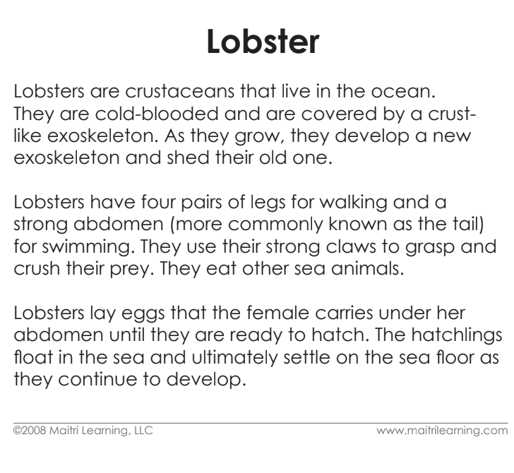 Parts of the Lobster Definitions