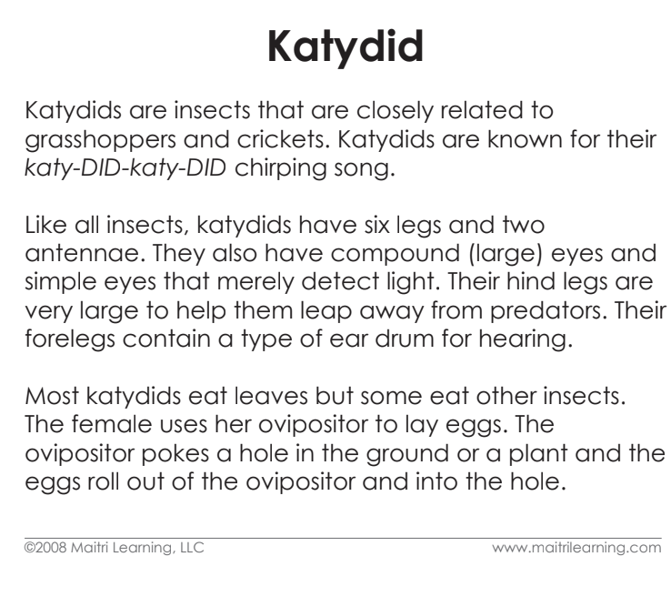 Parts of the Katydid (Grasshopper) Book