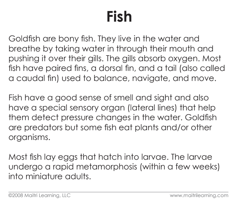 Cardstock Parts of the Fish 3-Part Reading