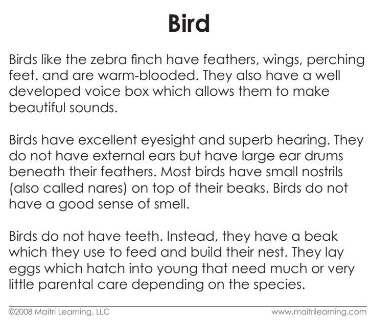 Imperfect Parts of the Bird Vocabulary