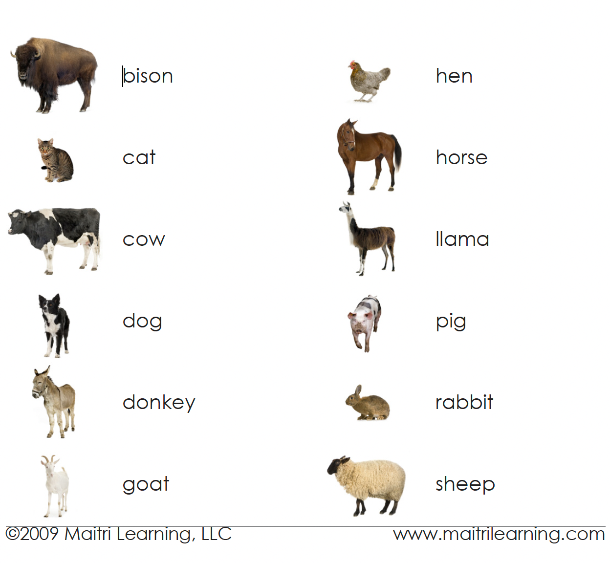 Imperfect Farm Animals (Adult) Vocabulary