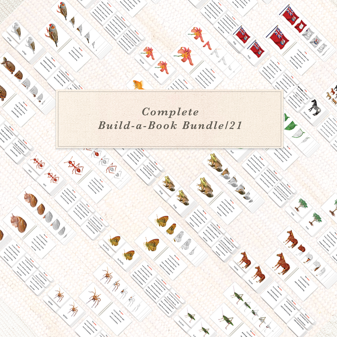 Complete Build-a-Book Bundle/21