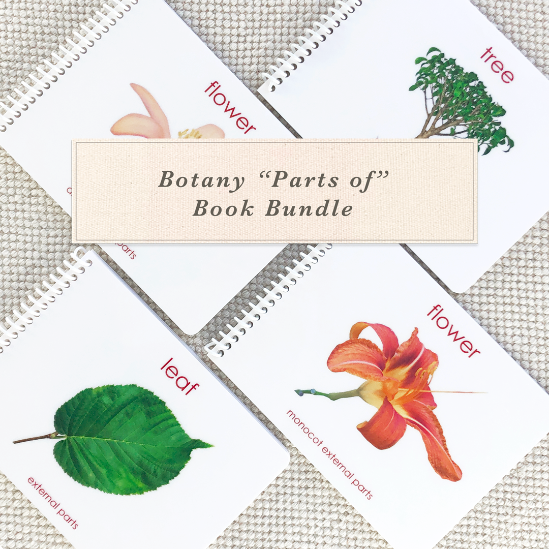 Botany "Parts of" Book Bundle