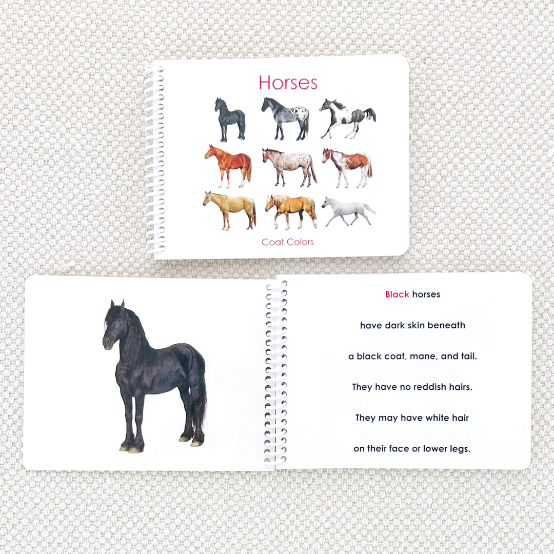 Horses (Coat Colors) Book