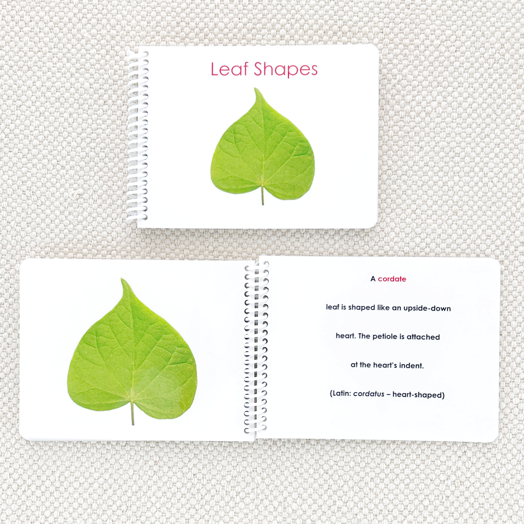 Leaf Shapes Book & Card Set