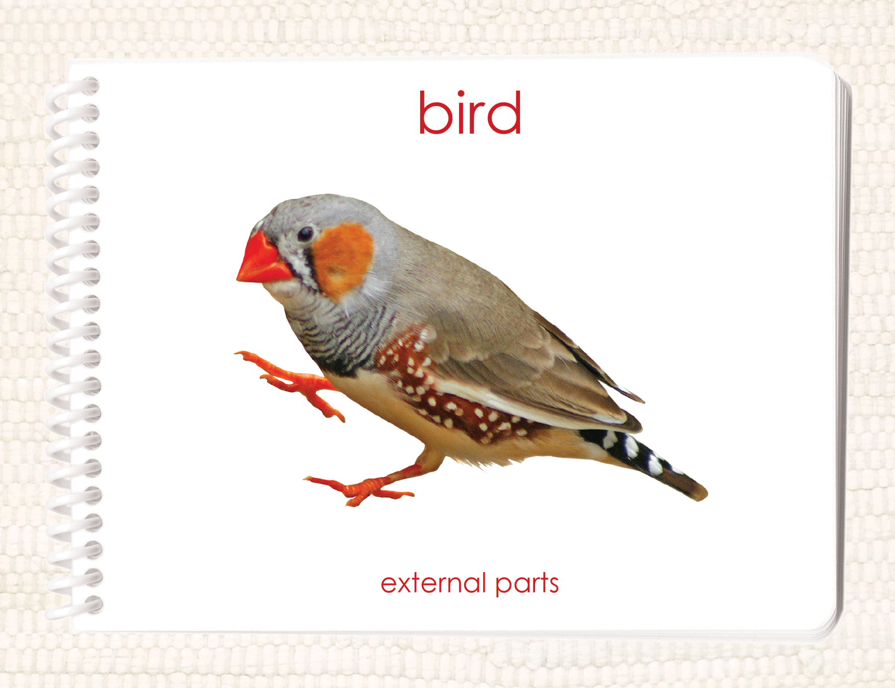 Imperfect Parts of the Bird Book