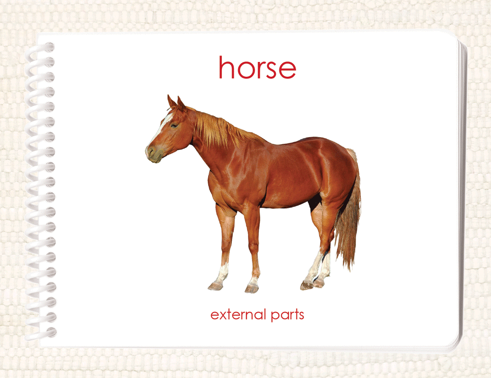 Imperfect Parts of the Horse Book