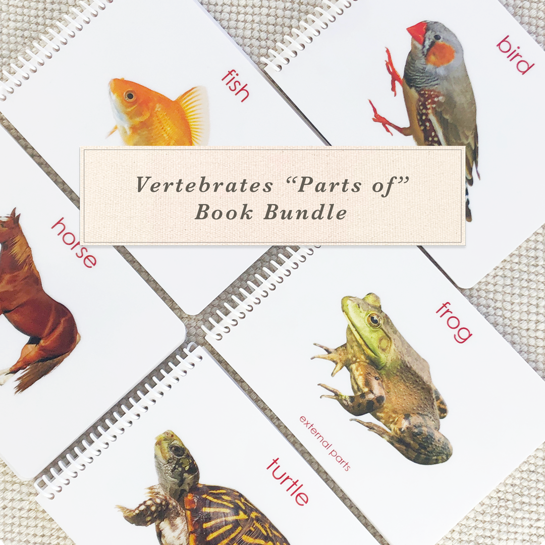 Vertebrates "Parts of" Book Bundle