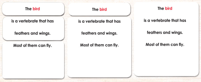 Parts of the Bird Book & Card Set