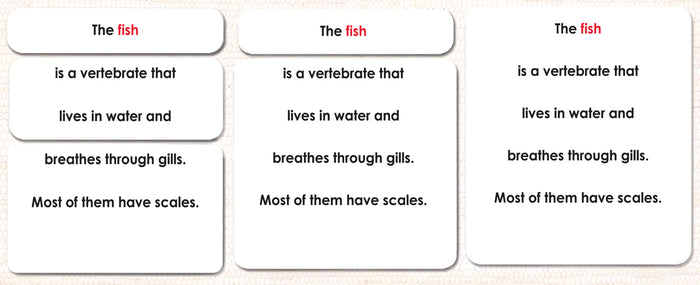 Parts of the Fish Book & Card Set