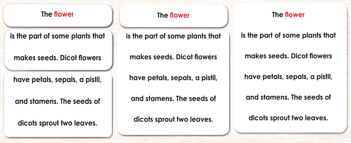 Parts of the Flower (Monocot) Book & Card Set