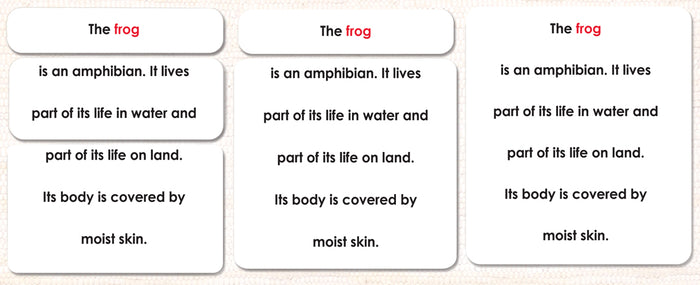 Parts of the Frog Book & Card Set