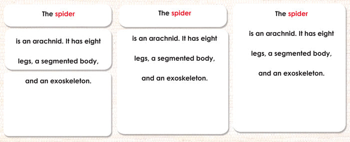 Parts of the Spider Book & Card Set