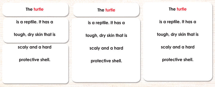 Parts of the Turtle Book & Card Set