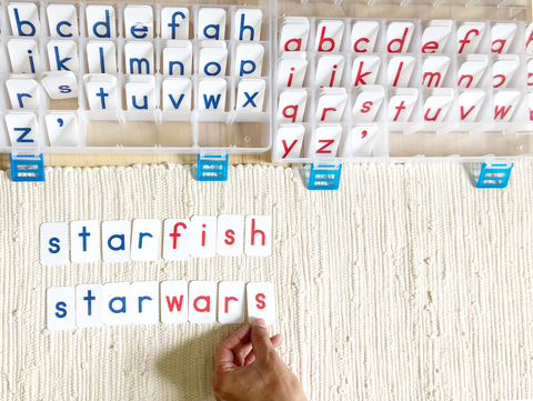 Small Movable Alphabet: Print - Red with Blue vowels
