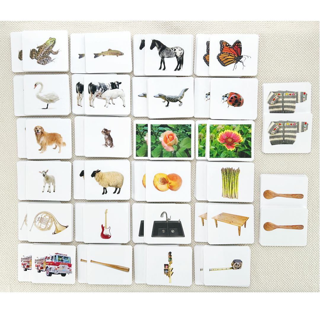 Matching Card Set/26