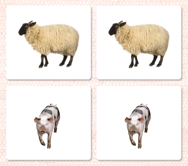Imperfect Farm Animals (Adults) Matching