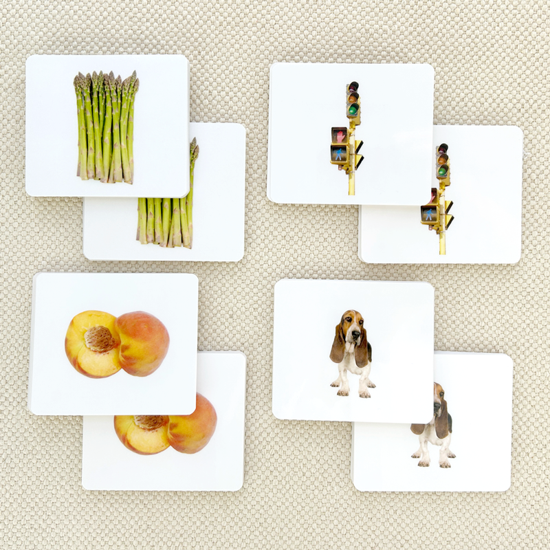 Common Nouns Matching Card Sets